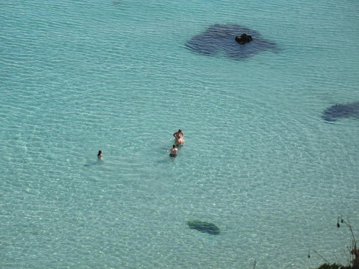 Le Dixmude, Appartement Proche Plage De Morgat Crozon Exterior foto